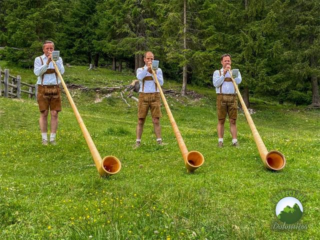 Foto für Musikalische Unterhaltung mit den Alphornbläsern "Trio Ladinia"