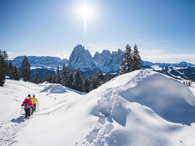 Foto per Escursione invernale sull'Alpe di Siusi