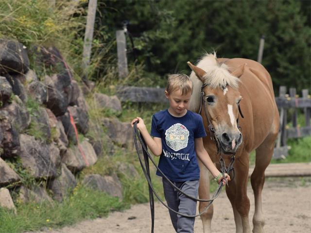 Foto für Kids Active - Hufeisen: das Glück der Pferde Montag 2024